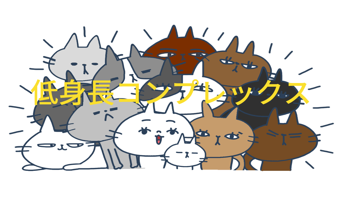 猫の画