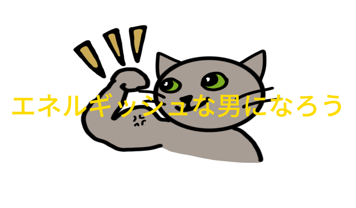 猫のきんに君